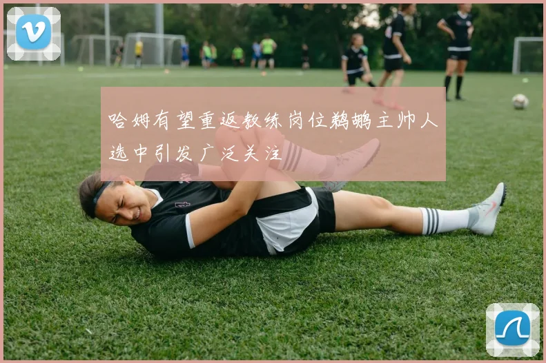 哈姆有望重返教练岗位鹈鹕主帅人选中引发广泛关注