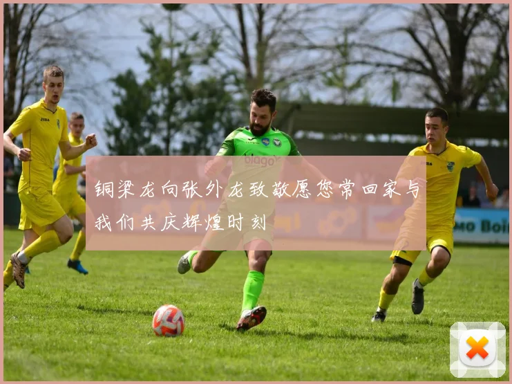 铜梁龙向张外龙致敬愿您常回家与我们共庆辉煌时刻