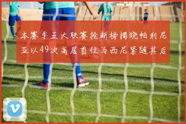 本赛季五大联赛抢断榜揭晓帕利尼亚以49次高居首位马西尼紧随其后